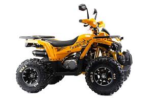 Квадроцикл Motoland VOX125 WILD X PRO А Квадроцикл Motoland VOX125 WILD X PRO А
