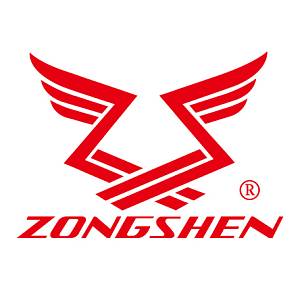 Двигатель бензиновый Zongshen GB 750 BE