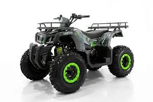 Квадроцикл бензиновый MOTAX GRIZLIK T 200 Квадроцикл бензиновый MOTAX GRIZLIK T 200