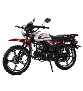 Мопед Motoland Альфа RS Forester 11 (LM48-B)