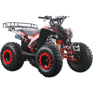Квадроцикл подростковый Racer (Рейсер) EAGLE 125 Квадроцикл подростковый Racer (Рейсер) EAGLE 125