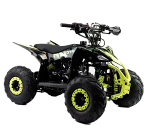 Квадроцикл Racer Raptor 110 зеленый Квадроцикл Racer Raptor 110 зеленый
